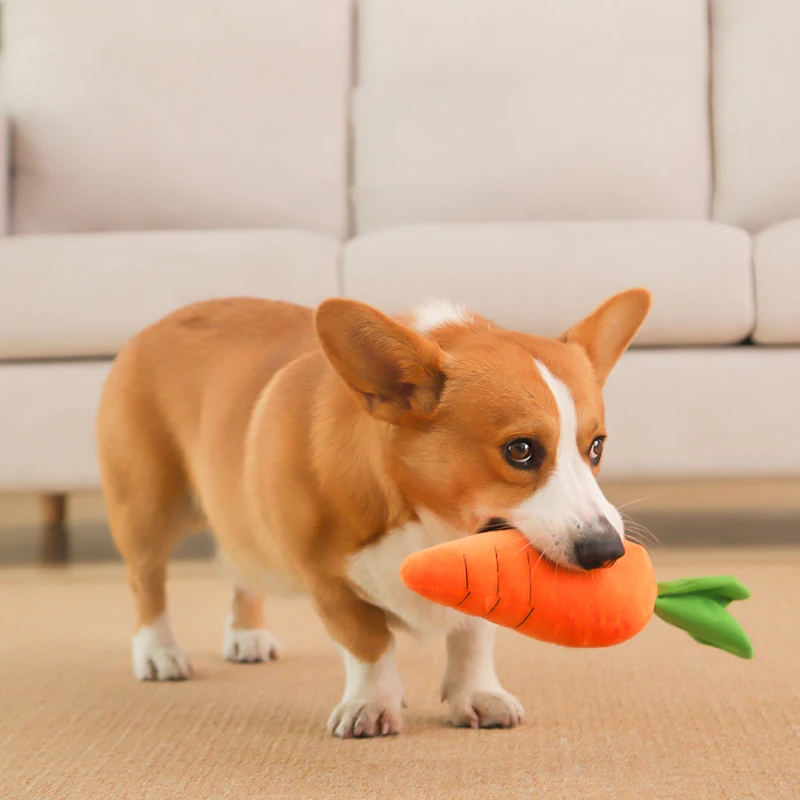 Hoopet Pet Toy Carrot Shape Toy for Dogs Cats Sleeping Pillow Dog Chew Training Toy High Quality Plush Sounding Toy for Puppy