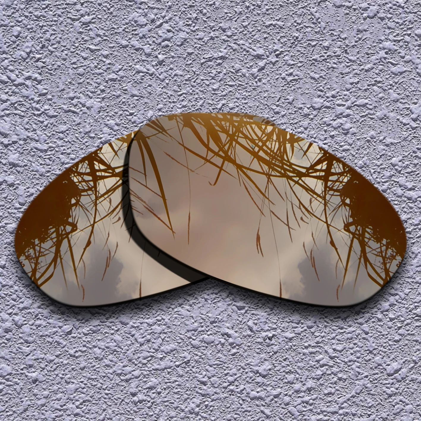 

Earth Brown Polarized Replacement Lenses for Twenty 2012 Sunglasses