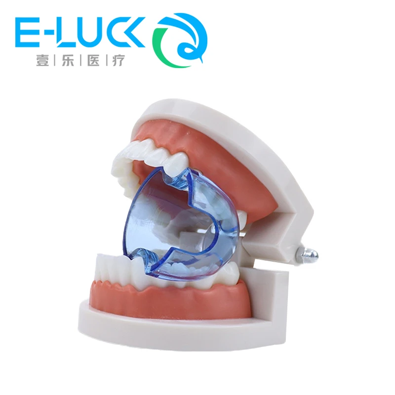 Dental Teeth Retractor Orthodontic Teeth Opening Anterior Posterior Cheek Retractor Expander Dental Accessories