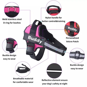 Personalized No Pull Harness 1