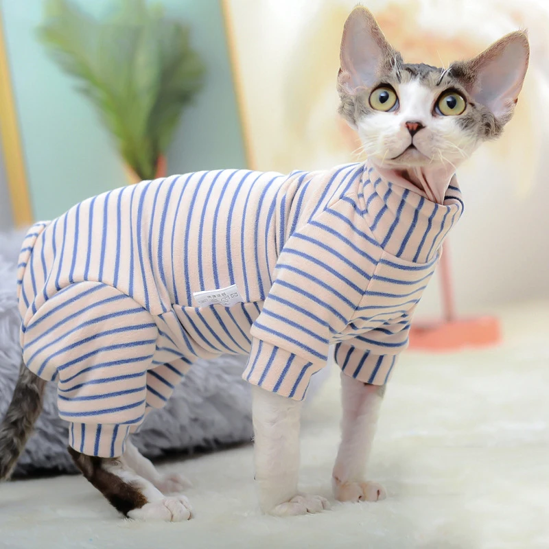 Sphynx Cat Clothes …