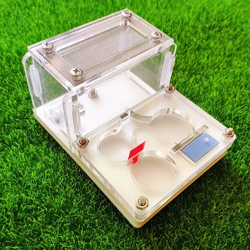 Acrylic Ant Breeding Nest on Mini Ant Farm Insect Terrarium Pet Accessories