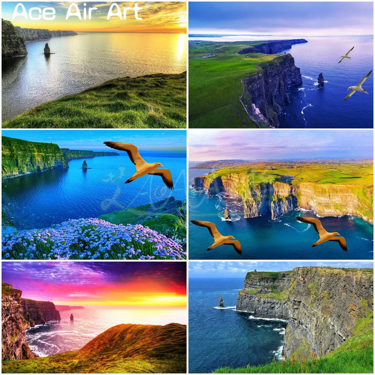 Northern Gannet Flying Over Atlantic Ocean Scenery Diamond Painting The Cliffs of Moher Ireland Landscape for Layout