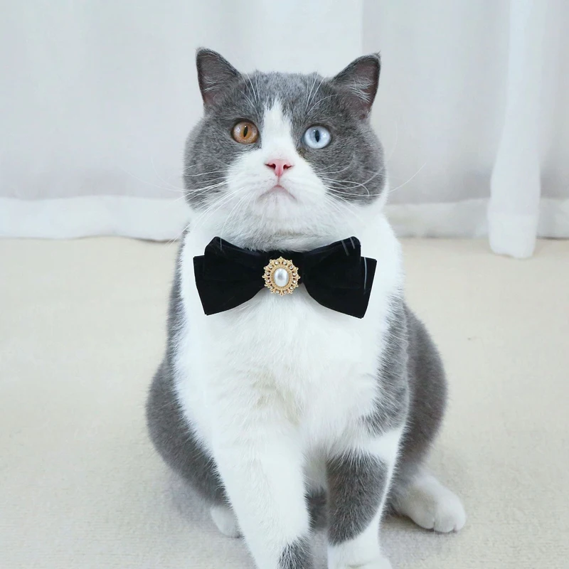 Retro Cats Collars Velvet Kitten Bowknot Bow Tie with Pearl Adjustable Anti-suffocation Puppy Necklace Pets Party Accessories