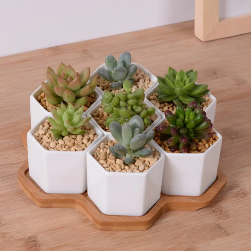 

Set of 4/7/9/10 Hexagon Flowerpots White Ceramic Succulent Plant Pot with Bamboo Stand Home Office Christmas New Year Decoration