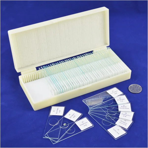 50pcs human prepared blood smear Microscope Glass Slides  Prepared Biological slides Cover Slips in Wood Box