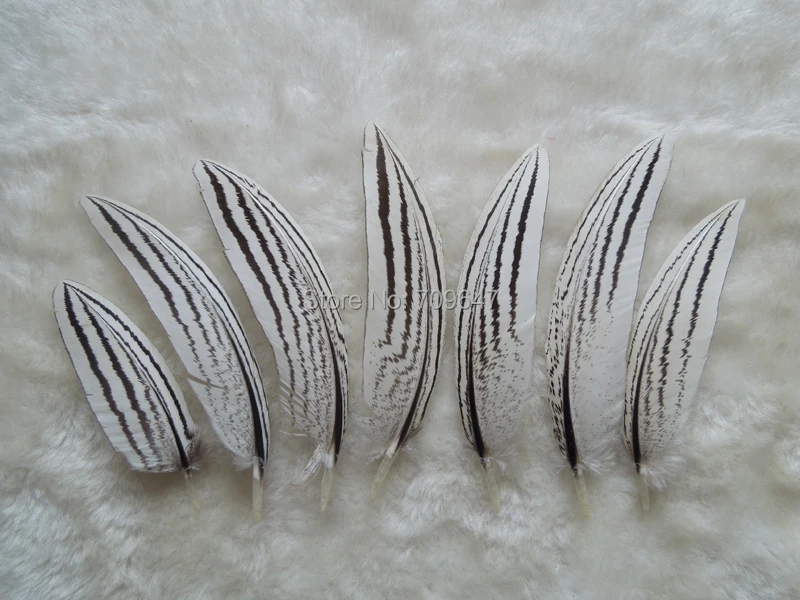 100Pcs 7-10cm NATURAL Curved Silver Pheasant Small Quill Feathers for Craft DIY,Party Decoration Plumas,Jewelry Accessories