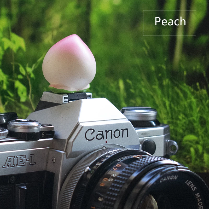 Пылезащитный чехол для камеры Fujifilm XT3/ Leica/Olympus/Canon/Nikon