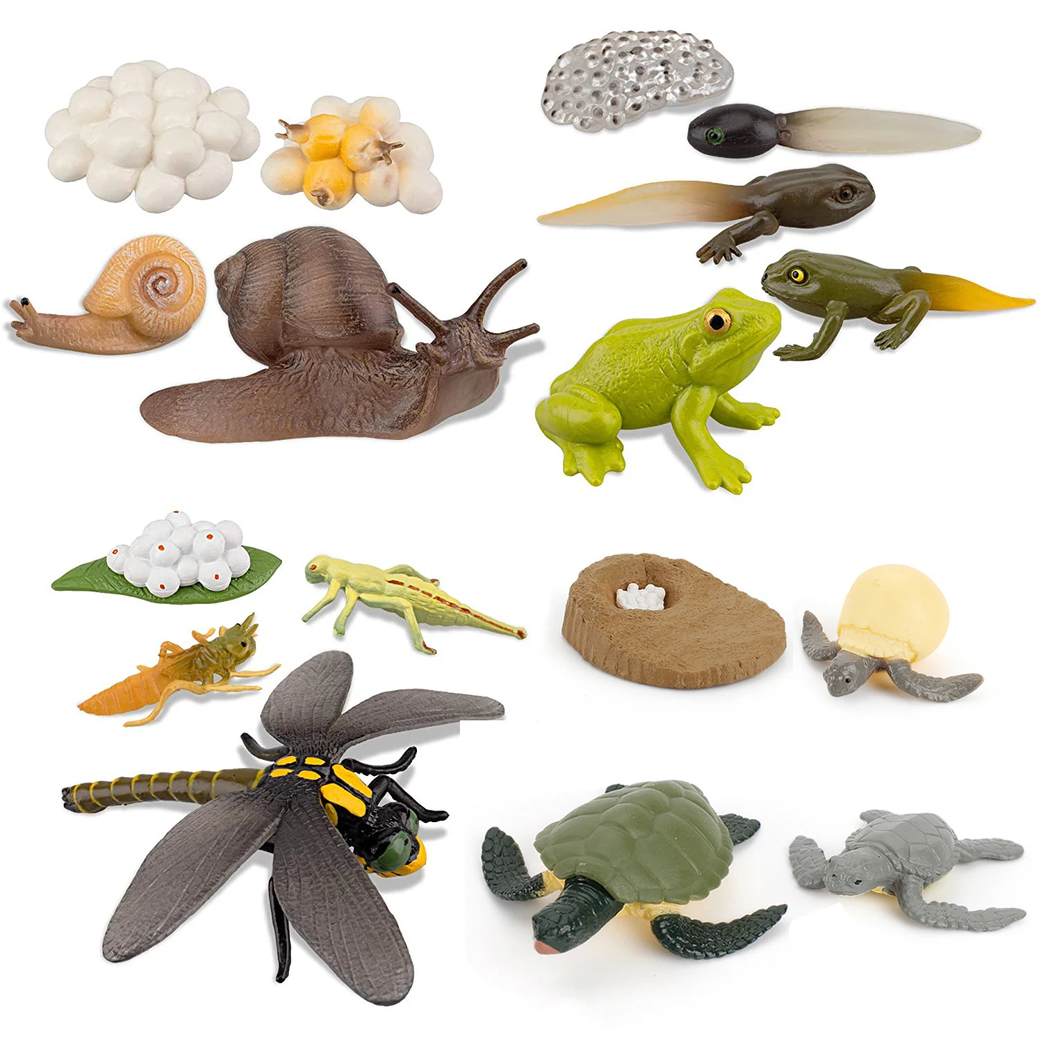 

Simulation Animals Growth Cycle Butterfly Ladybug Chicken Dragonfly Frog Life Cycle Figurine Model Early Education Kids Toy