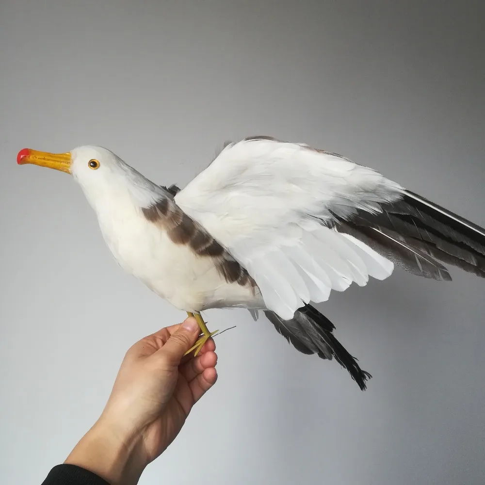 real life toy foam&feathers seagull bird about 38x60cm spreading wings seagull hard model prop.home garden decoration gift w0856