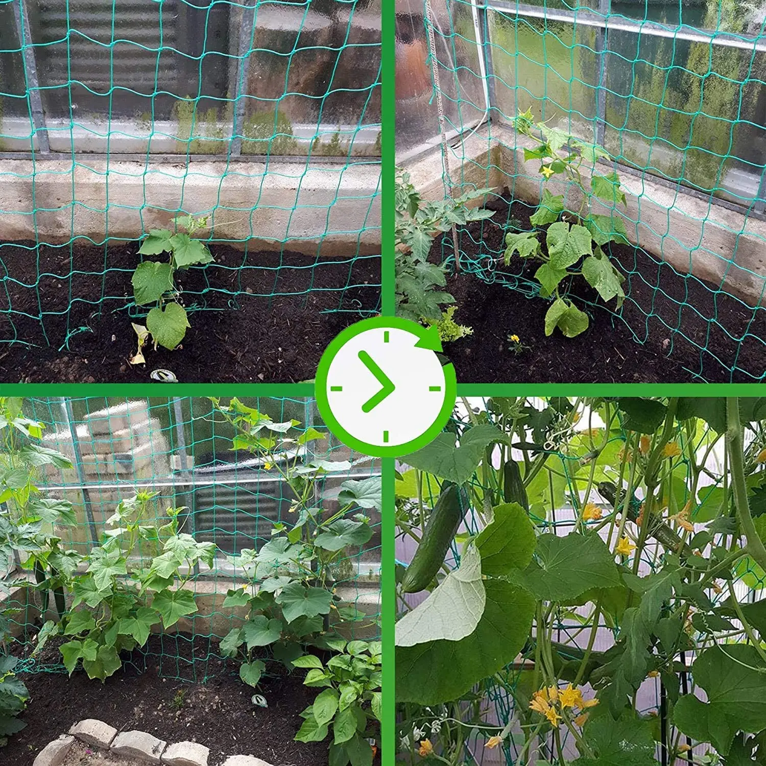 Trellis Netting,Heavy-Duty Garden Grow Netting for Climbing Plants,Cucumber,Tomatoes,Fruit & Vegetables,Climbing Vining Plants