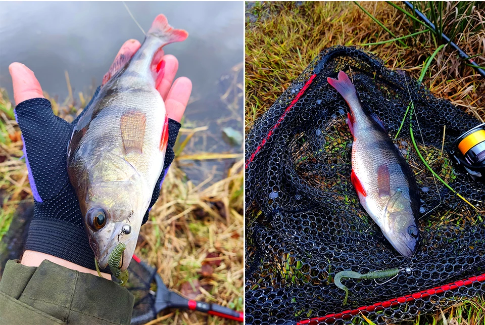 TSURINOYA Angelköder Grub 63 mm 0,7 g 40 Stück Light Game Ajing Künstlicher weicher Köder BOUNDEN Bass Fügen Sie Garnelensalz hinzu Silikon Swimbait – Detail 21