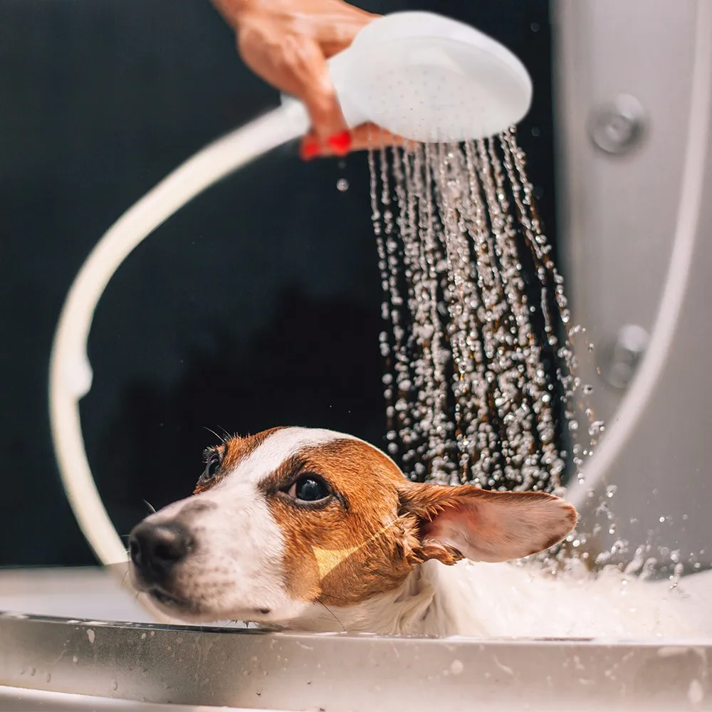 Pet Dog Cat Shower Head Multi-functional Tap Faucet Spray Drains Strainer Hose Sink Washing Hair Pets Lave Water Bath Heads 32