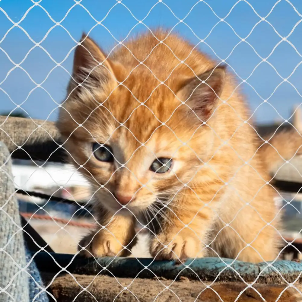 Cat siatka asekuracyjna Nylon ochronny przezroczysty Pet Anti-fall Net wytrzymały i trwały przezroczysty Design na balkony tarasy drzwi