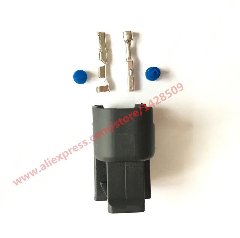 1 Set 2 Pin Delphi EV6 LS2 3 Id-1000 Injector Vrouwelijke Connector 15419715