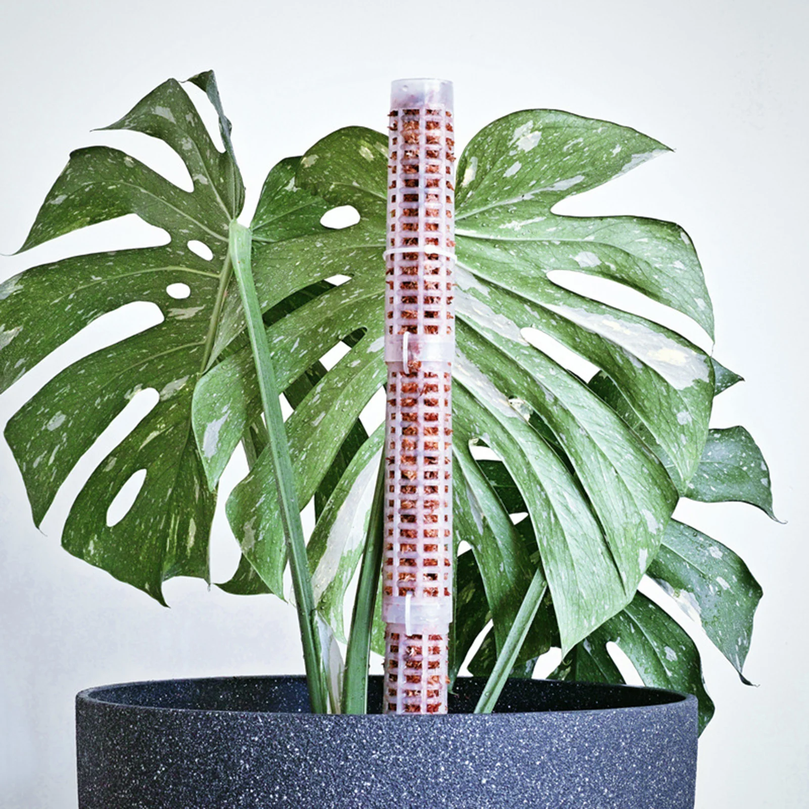 Climbing Plant Indoor Plant Support Extension Pole Stick Climbing Creepers Moss Gardening Pillar Gardening Accessories