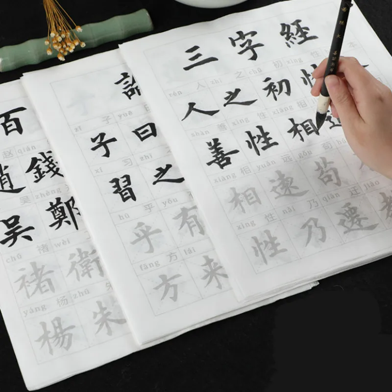 Chinese Brush Calligraphy Copybooks Student Medium Regular Script Practice Copybooks Beginner Poem Copybook with Chinese Pinyin