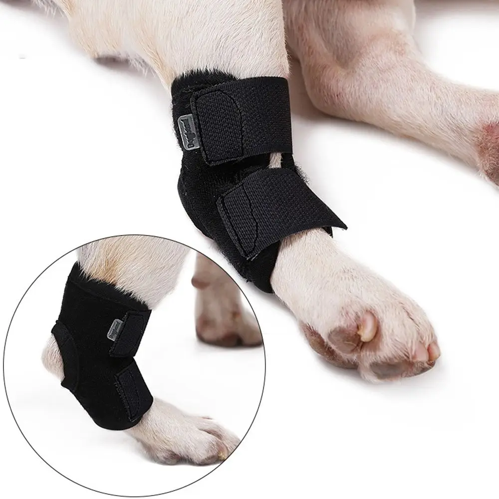 Joelheiras respiráveis para pet, suporte para perna, envoltório conjunto de jarrete, recuperação de pernas, protetor do cão, protege bandagem, 1 pc