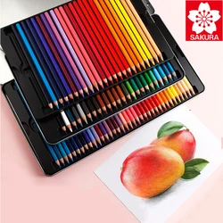 SAKURA water-soluble colored pencil set 24/36/48/60/72 color XPY36 student hand-painted professional painting pencil stationery