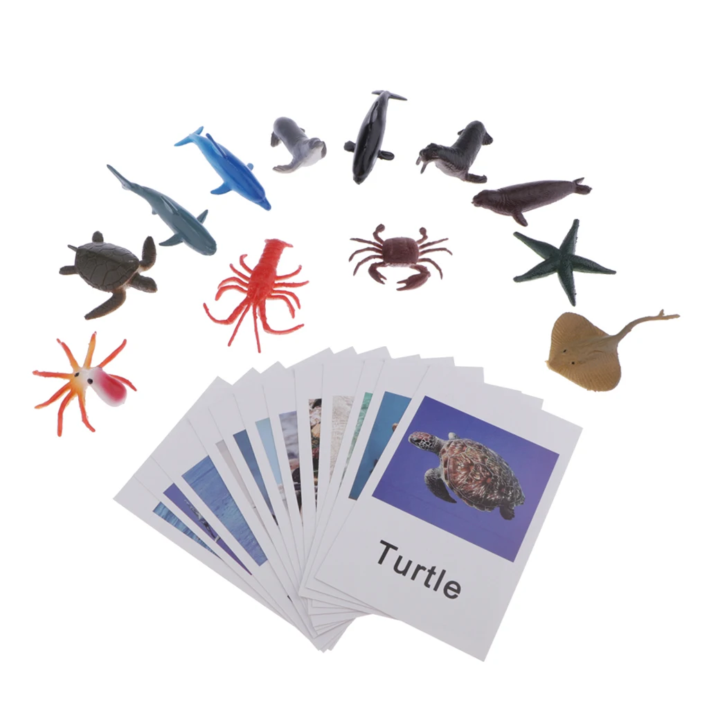 Montessori Ocean Animal Match Cards and Figurines, Matching Game Learning Toy, Language Materials