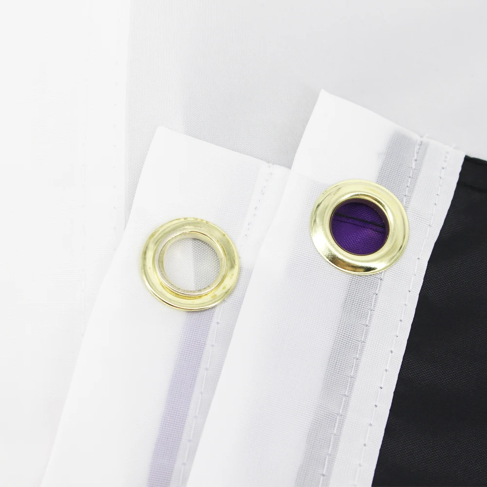 معلقة 90*150 سنتيمتر LGBTQIA Ace المجتمع اللاجنسي علم الفخر اللاجنسي للزينة #5