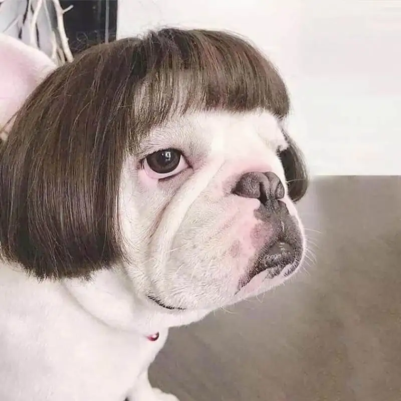 Hair Cut