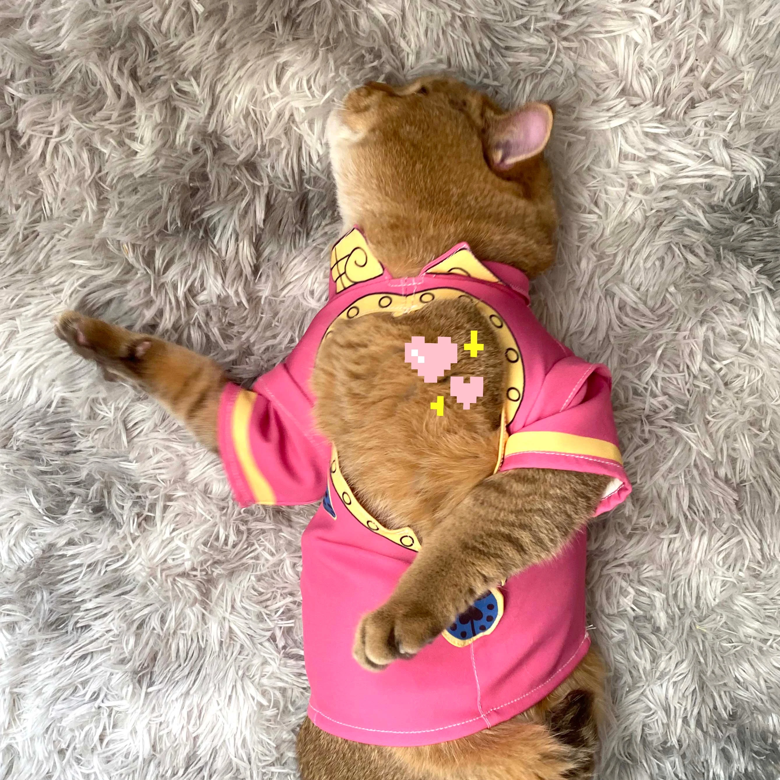 Jojo Bizarre Adventure Cosplay disfraces de mascotas para gatos y perros