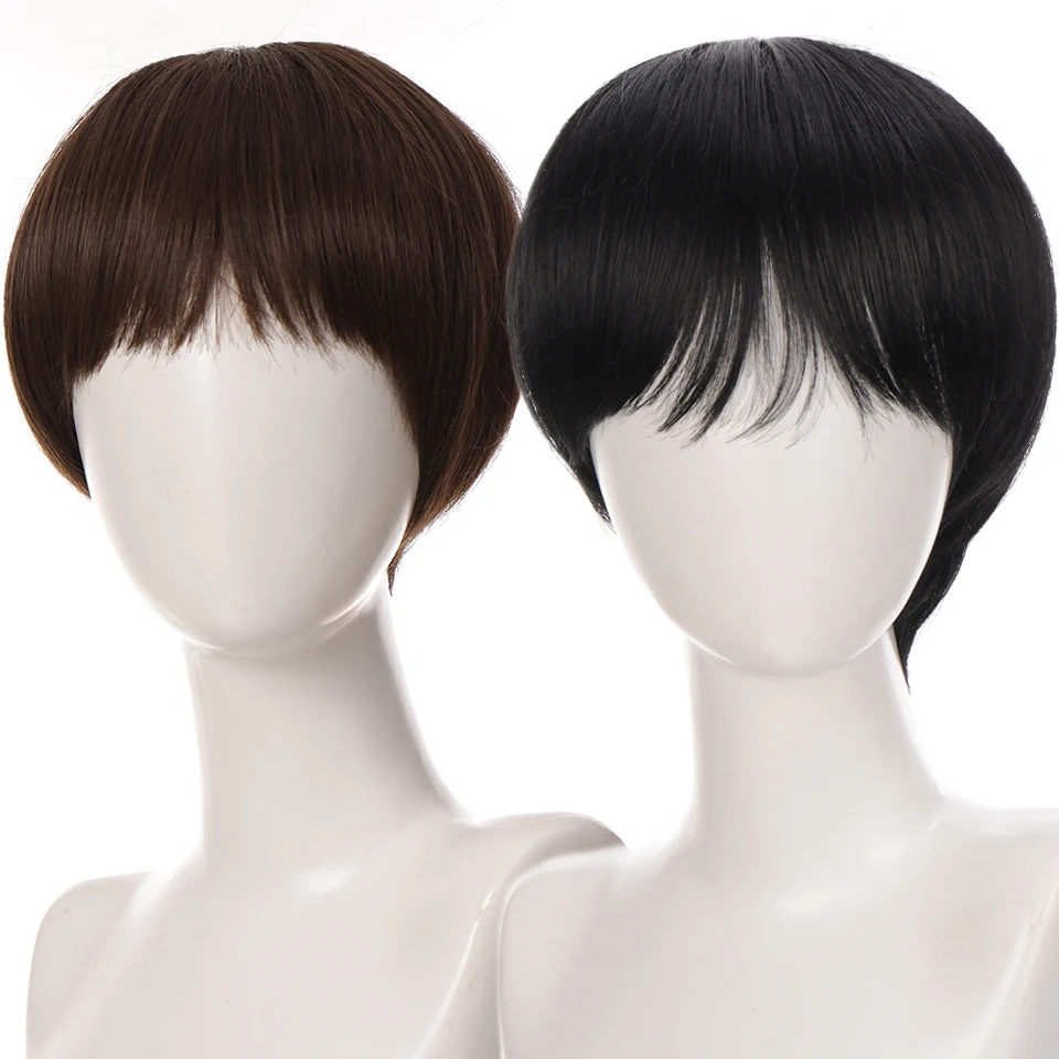 AILIADE Synthetic Black Men's Wig Short Straight Wigs for Woman Man Hair Realistic Natural Brown for Cosplay Anime Party Daily