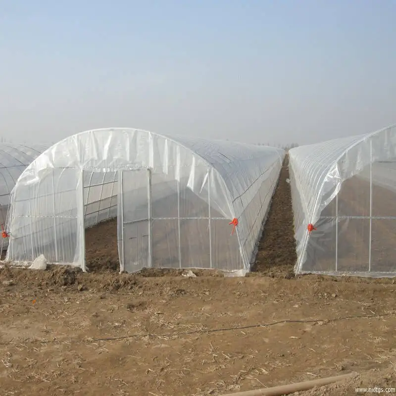 8M*30M-Large Commercial Green Houses Agriculture Greenhouse