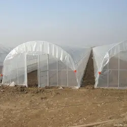 8M*30M-Large Commercial Green Houses Agriculture Greenhouse