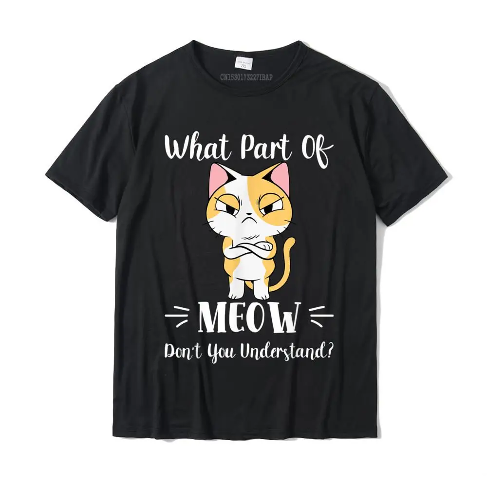 What Part Of Meow Don't You Understand Funny Angry Cat T-Shirt Cotton Man Tshirts Geek Tops T Shirt Funny Printed