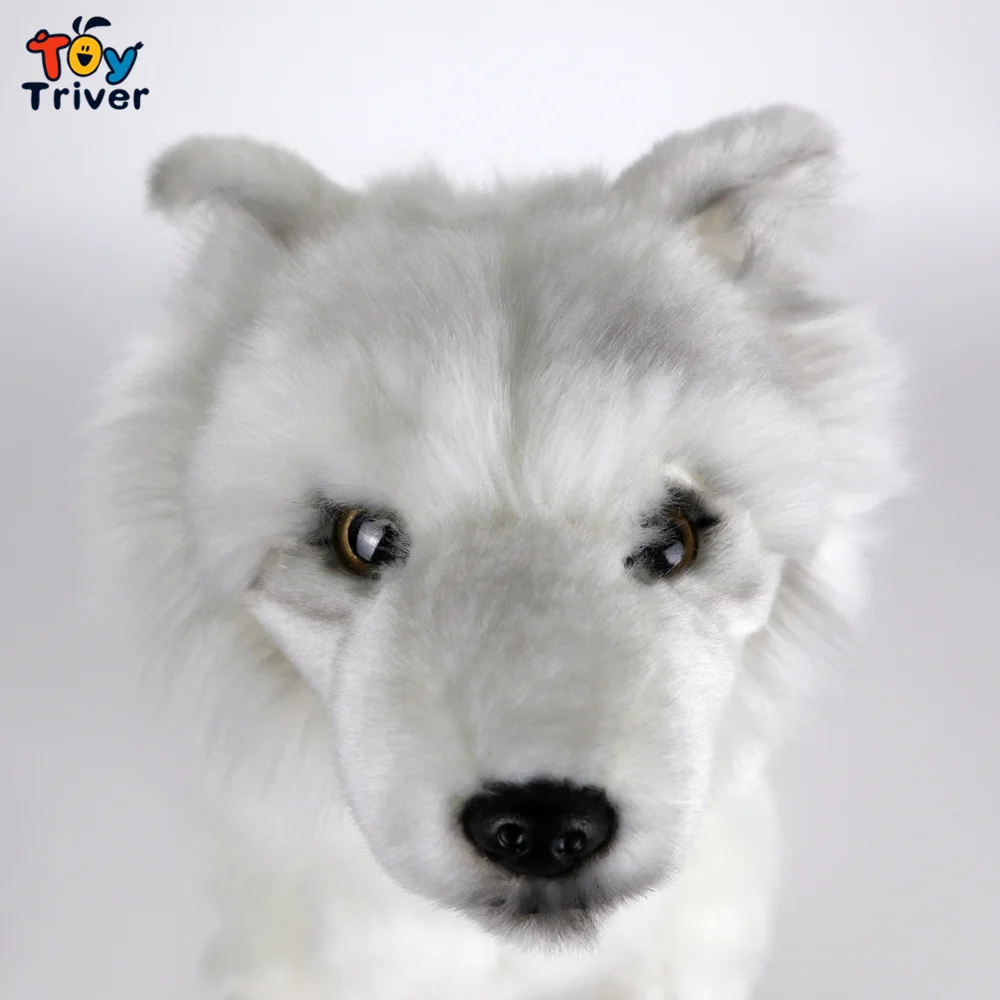 Levensechte Wit Wolf Knuffels Knuffels Doll Baby Kids Kinderen Jongens Volwassenen Verjaardagscadeautjes Thuis Room Decor Ambachten