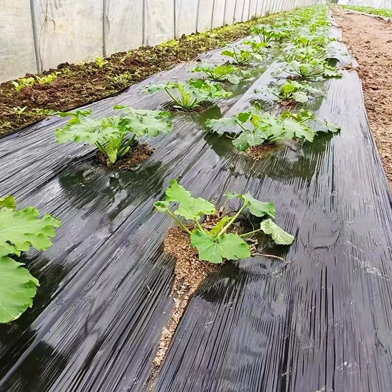 HEMAN Rolnictwo Pielenie Czarny Mulch Zagęścić 0.01mm Warzywa Szklarnia Truskawka Plastikowa Folia Rośliny Rosną