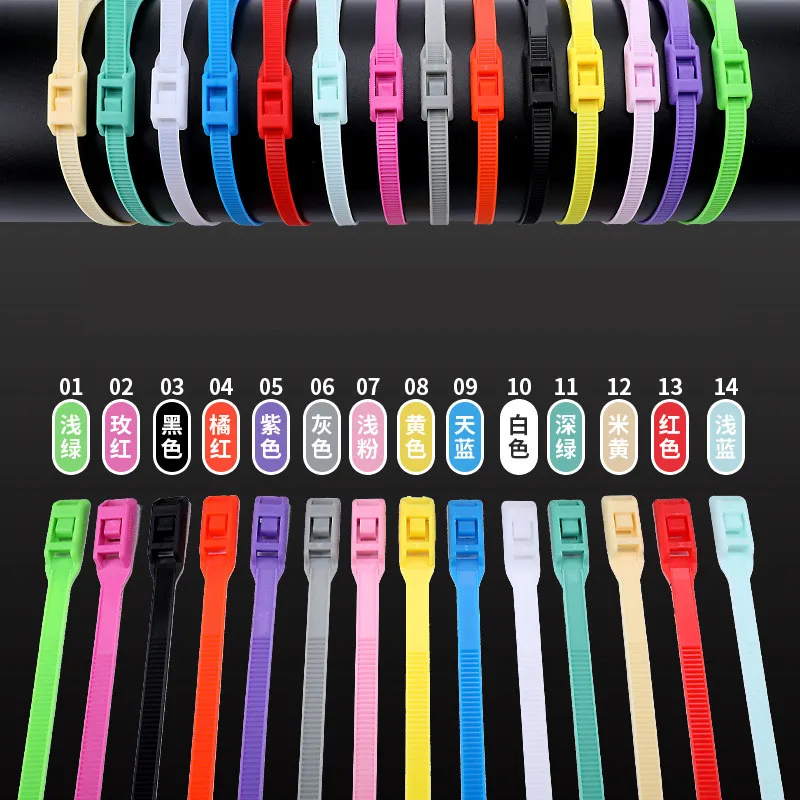 High Quality Full Size  Color Nylon 66 Plastic Double Lock Cable Tie OEM 8x350mm 100pcs for Kids amusement park