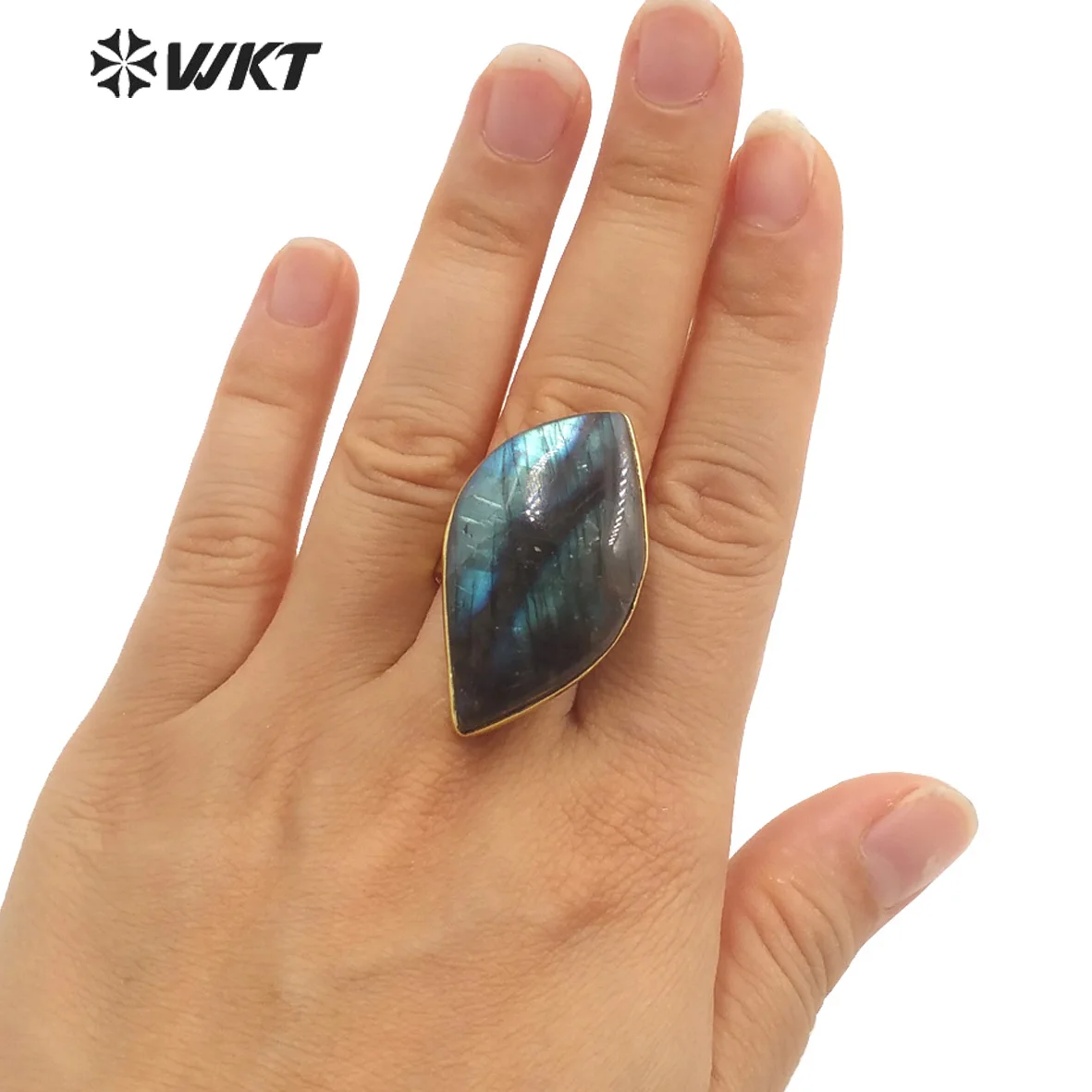 

WT-R389 WKT 2024 Новое модное регулируемое кольцо с лабрадоритом для женщин и девушек, для свадьбы, помолвки, вечеринки, ювелирные изделия ACC