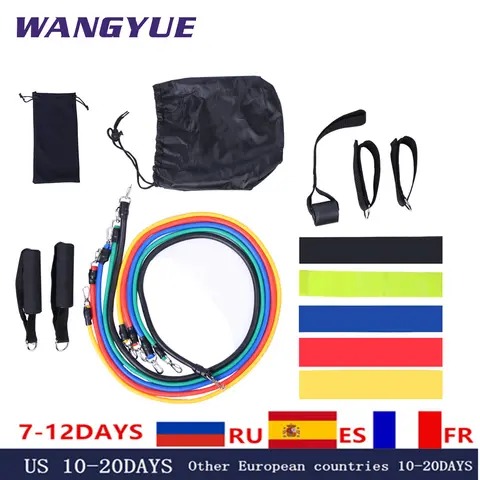 17pcs Resistance Bands Set for Fitness WANGYUE