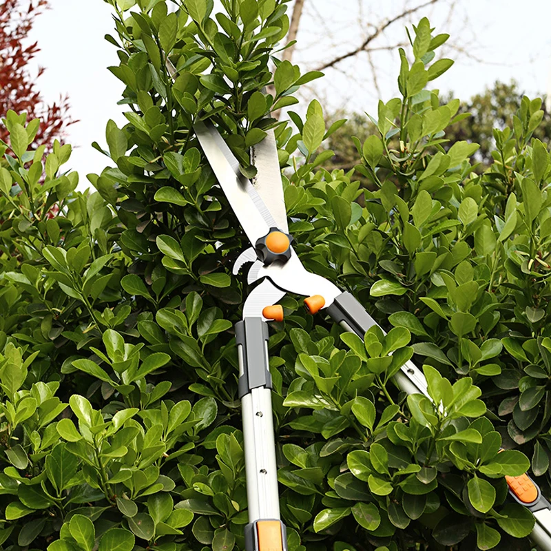 Garden Tree Pruning Shears Anvil Bypass Razor Edge Lopper Telescoping Long Reach Aluminium Handle Fruit Knife Picker Pruner DIY