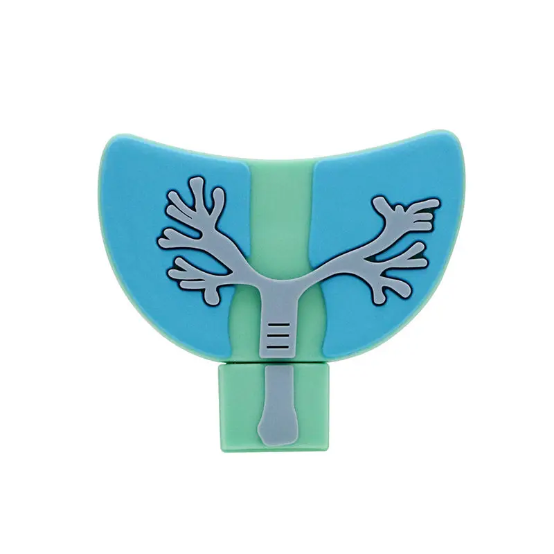 Cartoon Brain Usb Flash Drive Menselijke Organen Vorm Pen Drive 64Gb Memory Stick 4Gb 8Gb 16Gb 32Gb Hart Tand Nier Joint Pendrive
