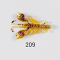 NW209