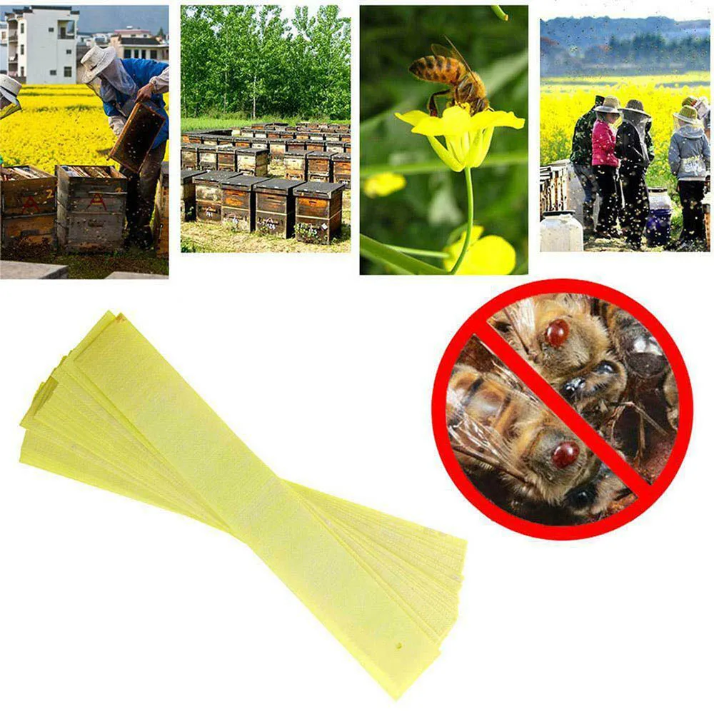 200 Pcs Bee Acaricide Against Fluvalinate Killer Miticide Bees Mite Strips Anti Insect Pest Controller Instant Mite Stri