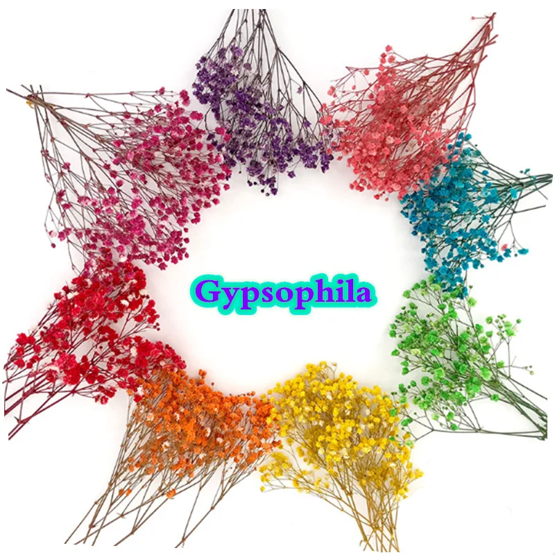 

Colorful Gypsophila 80g/Bunch Dried Preserved Flowers Natural Fresh Bouquets Gift For Wedding Decoration,Valentines
