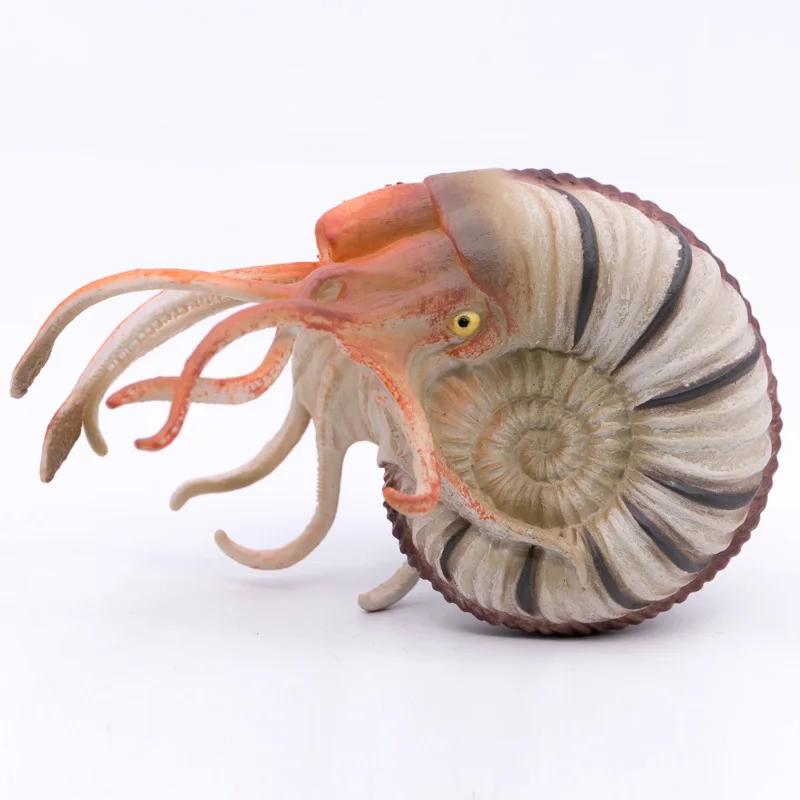 2020 New CollectA Prehistoric Animals Ocean Pleuroceras-Ammonite Nature Educational Model PVC Plastic Figure #88902