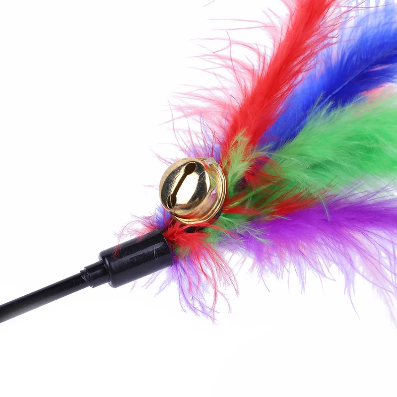 5 stücke Lustige Kätzchen Katze Teaser Interaktive Spielzeug Stange mit Glocke und Feder Spielzeug Für Haustier Katzen Stick Draht Chaser Zauberstab spielzeug Zufällige Farbe – Detail 2