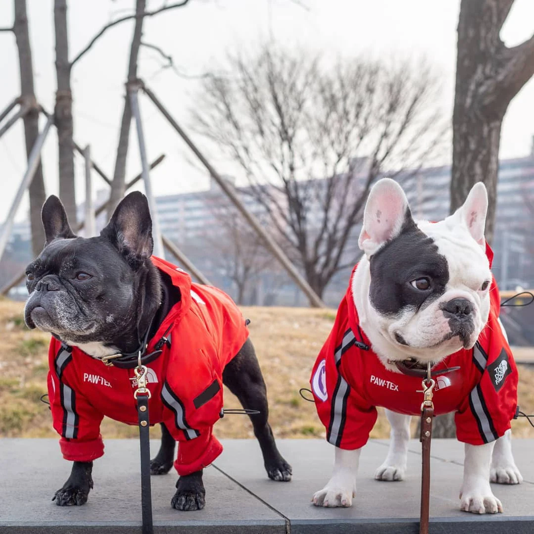 Anjing Peliharaan Tahan Air Mantel Anjing Jas Hujan Anjing Reflektif Pakaian Luar Ruangan Jaket Berkerudung untuk Persediaan Hewan Peliharaan Anjing Kecil Menengah Besar