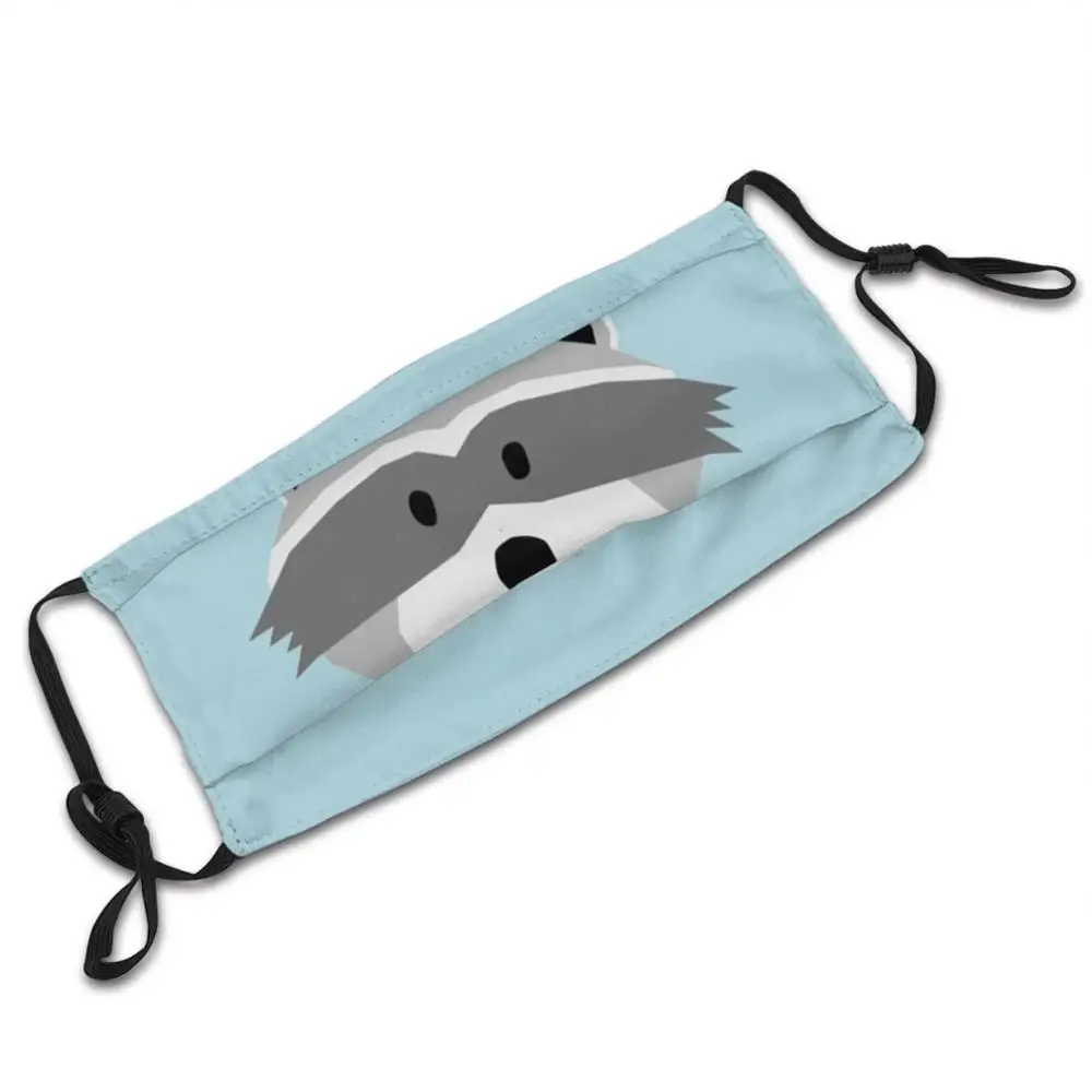 Willy Raccoon Mask Adult Child Washable Pm2.5 Filter Logo Creativity Racoon Robber Cute Animals Forest Carolina Delight Children