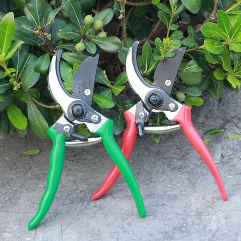 8" Garden Gardening Scissors Pruning Shears Pruning Shears Cut Fruit Tree Shear Shear