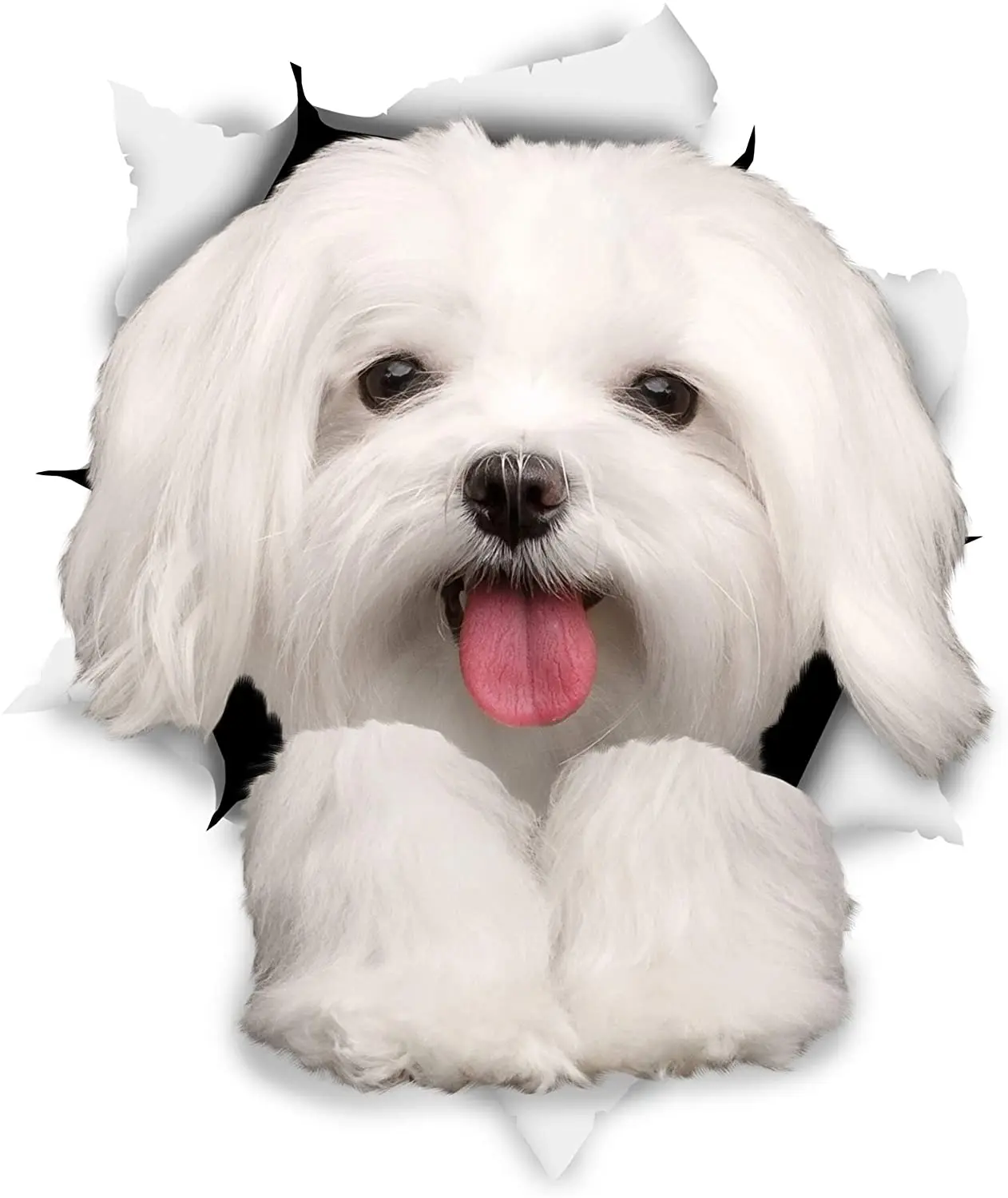 

Cute Maltese Dog Car Sticker Decoration Cover Scratch Decal Laptop Truck Motorcycle Auto Colorful Sticker Accessories KK12*9cm