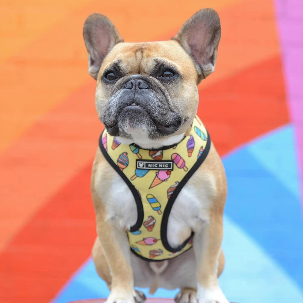 Small Dog Harness Summer No Pull Dog Harnesses Vest for Small Medium Dogs Breathable Pets Puppy French Bulldog Harness Leash Set