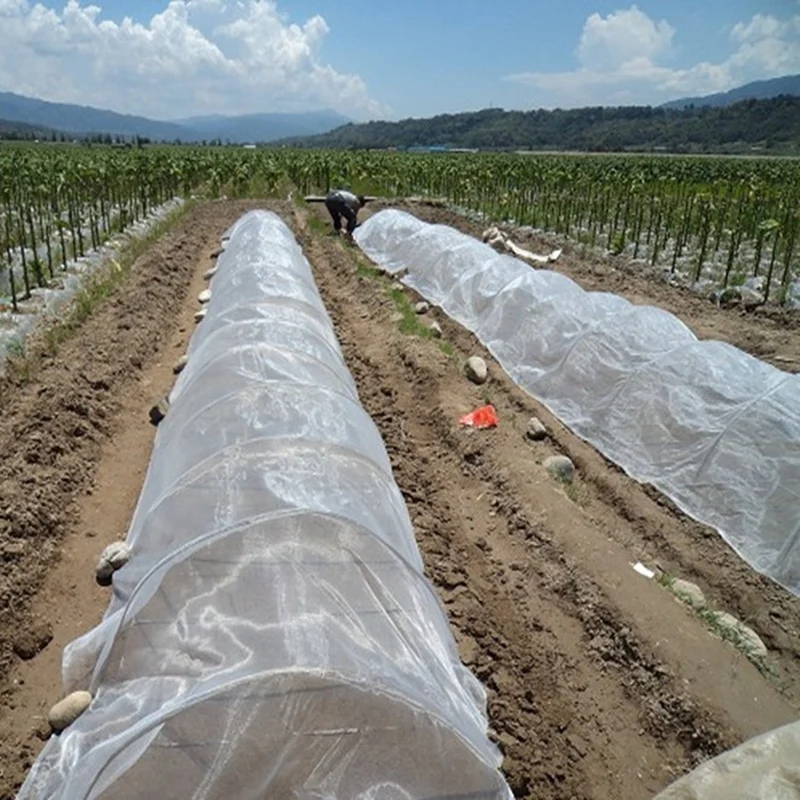 10m/lot 14/20Mesh Farm Vegetable Plants Pest Control Net Greenhouse Insect Bugs Stop Fruits Care Cover Anti-bird Garden Net