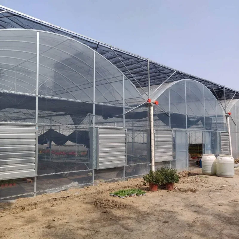 8m*40m Multi-span Plastic Film Greenhouse